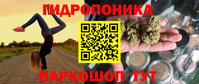 таблы Кингисепп
