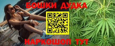 стаф Кинель