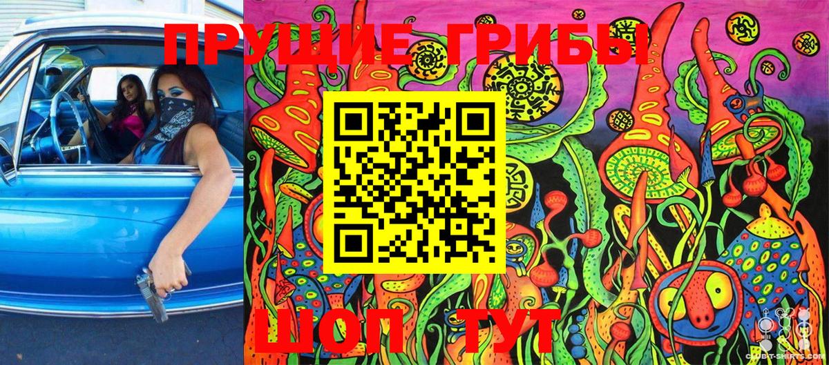 Псилоцибиновые грибы Cubensis Камень-на-Оби